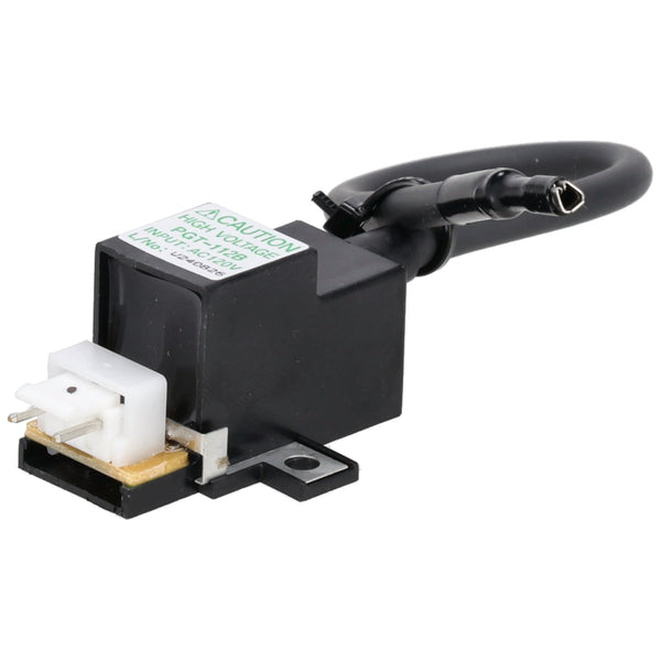 Rheem RTG20235BC Ignitor Coil