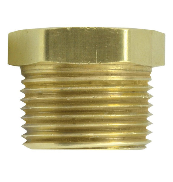 Rheem AP10003 Reducer Bushing (Brass) - 1 in. NPT x 3/4 in. NPT