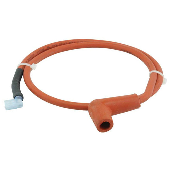 Rheem SP10763C Ignition Control w/ Cable