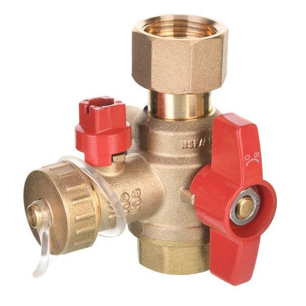 RHEEM RTG20220AB टैंकलेस वॉटर हीटर आइसोलेशन वाल्व किट 3/4