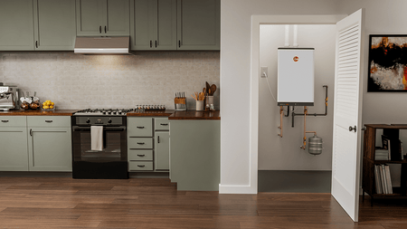 Rheem ThermaForce सुपर हाई एफिशिएंसी RTGH-L199i 199,000 BTU टैंकलेस वॉटर हीटर