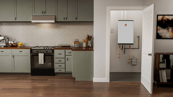 Rheem ThermaForce Super Alta Eficiencia RTGH-L199i 199,000 BTU Calentador de Agua Sin Tanque